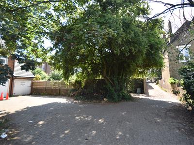 Picture 11